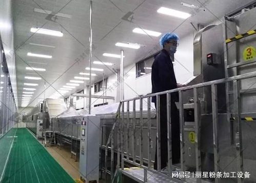 洋芋粉絲粉條機選購指南 性能、服務、價格如何權衡，告別后悔選擇